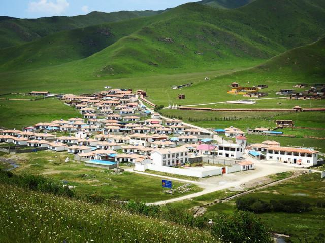 传奇霸主与修罗武神:淬炼石的神秘之旅