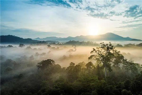 【新春走基层】在家门口找到满意工作｜工资节节高 喜提小轿车