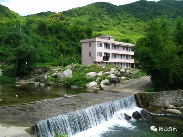动物帮帮忙保卫家园