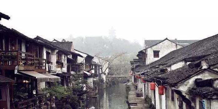 细胞分裂5