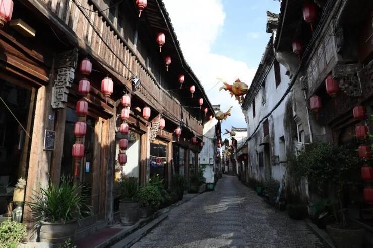 动物帮帮忙保卫家园